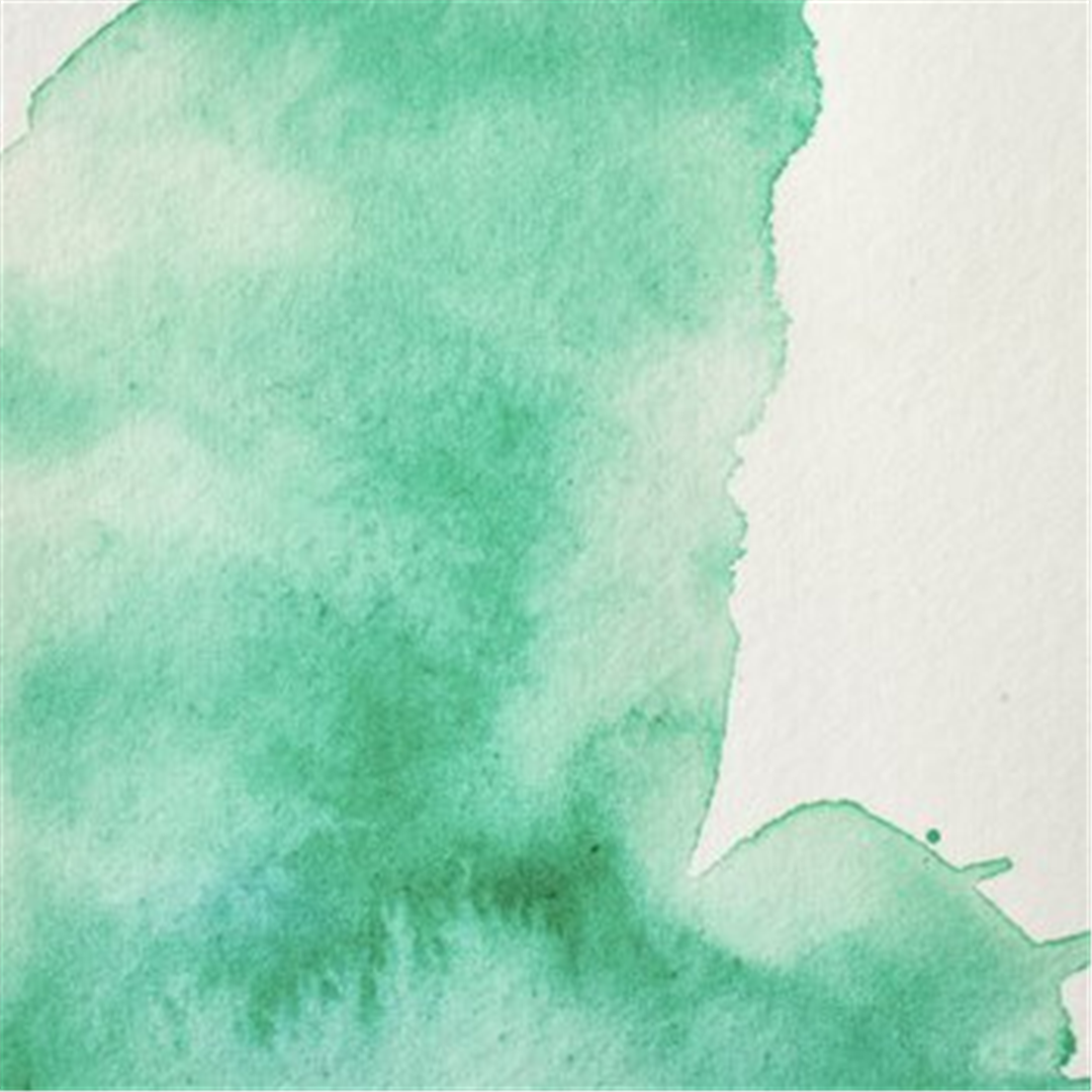 Professional Water Colour Tubo 5 Ml Sr. 2 Verde Veronese Imitazione — immagine 3