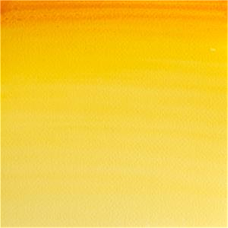 Professional Water Colour 1/2 Godet Awc  Serie 1 - Colore 267 Gommagutta Nuova