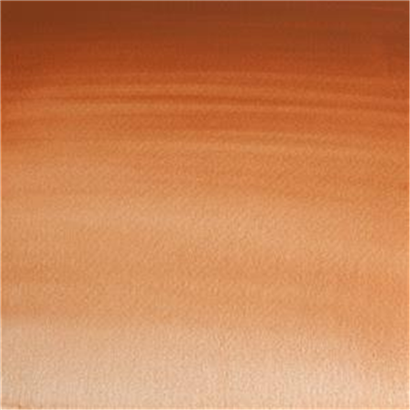 Acquarello Extra-Fine Artists Awc 1-2 Godet Serie 1 - Colore 381 Bruno Di Manganese