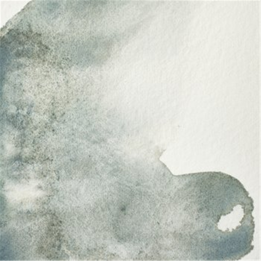 Professional Water Colour 1/2 Godet Awc Sr.1 Grigio Minerale — immagine 4