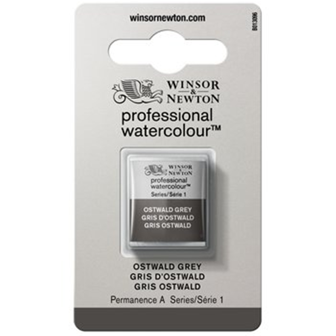 Professional Water Colour 1/2 Godet Awc Sr.1 Grigio Di Oswald — immagine 3