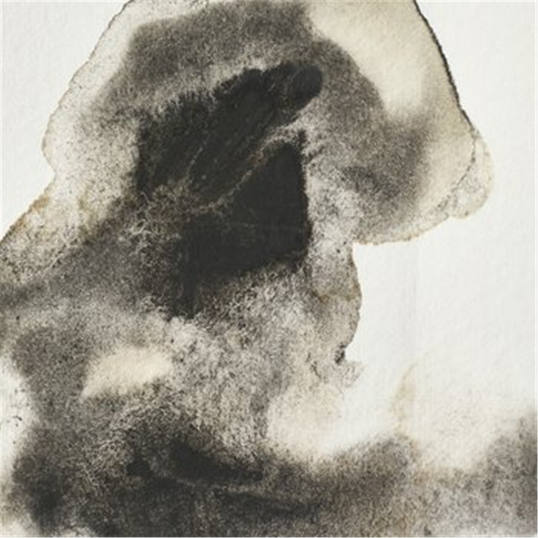 Professional Water Colour 1/2 Godet Awc Sr.1 Grigio Di Oswald — immagine 4