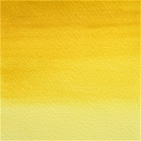 Professional Water Colour 1/2 Godet Awc Sr.2 Aureolina Imitazione