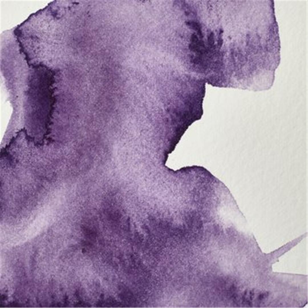 Professional Water Colour 1/2 Godet Awc Sr.2 Porpora Tirian — immagine 4