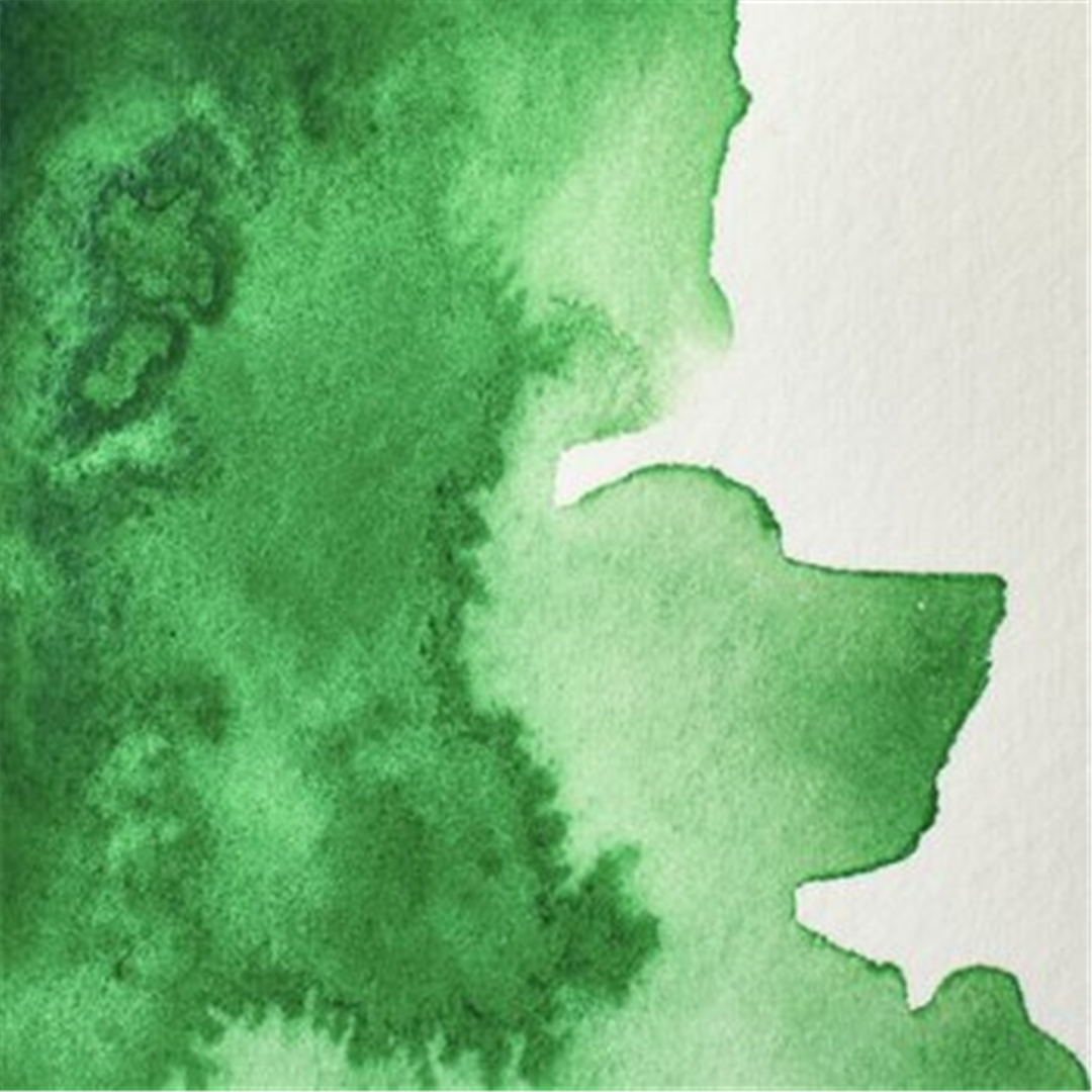 Professional Water Colour 1/2 Godet Awc Sr.2 Verde Cinabro — immagine 4