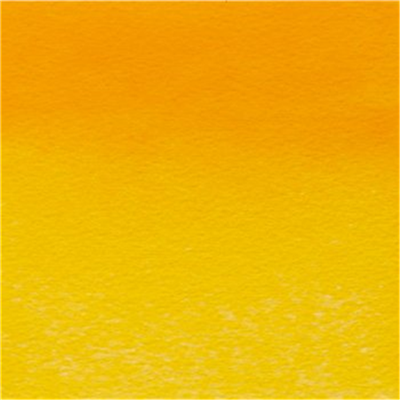 Professional Water Colour 1/2 Godet Awc  Serie 4 - Colore 891 Giallo Scuro Privo Di Cadmio