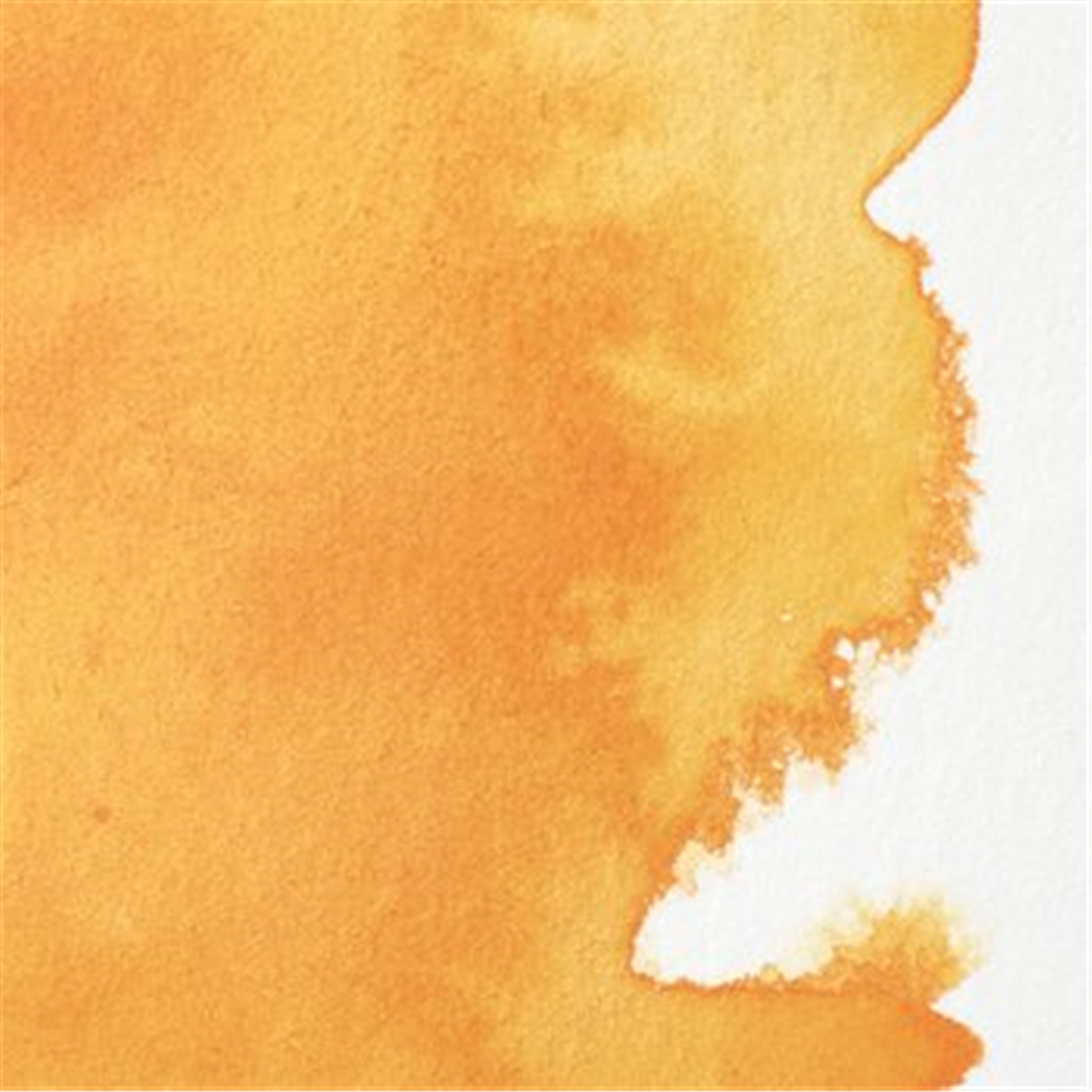 Professional Water Colour 1/2 Godet Awc  Serie 4 - Colore 891 Giallo Scuro Privo Di Cadmio — immagine 3