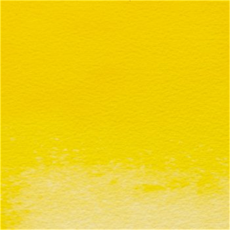 Professional Water Colour 1/2 Godet Awc  Serie 4 - Colore 907 Giallo Chiaro Privo Di Cadmio