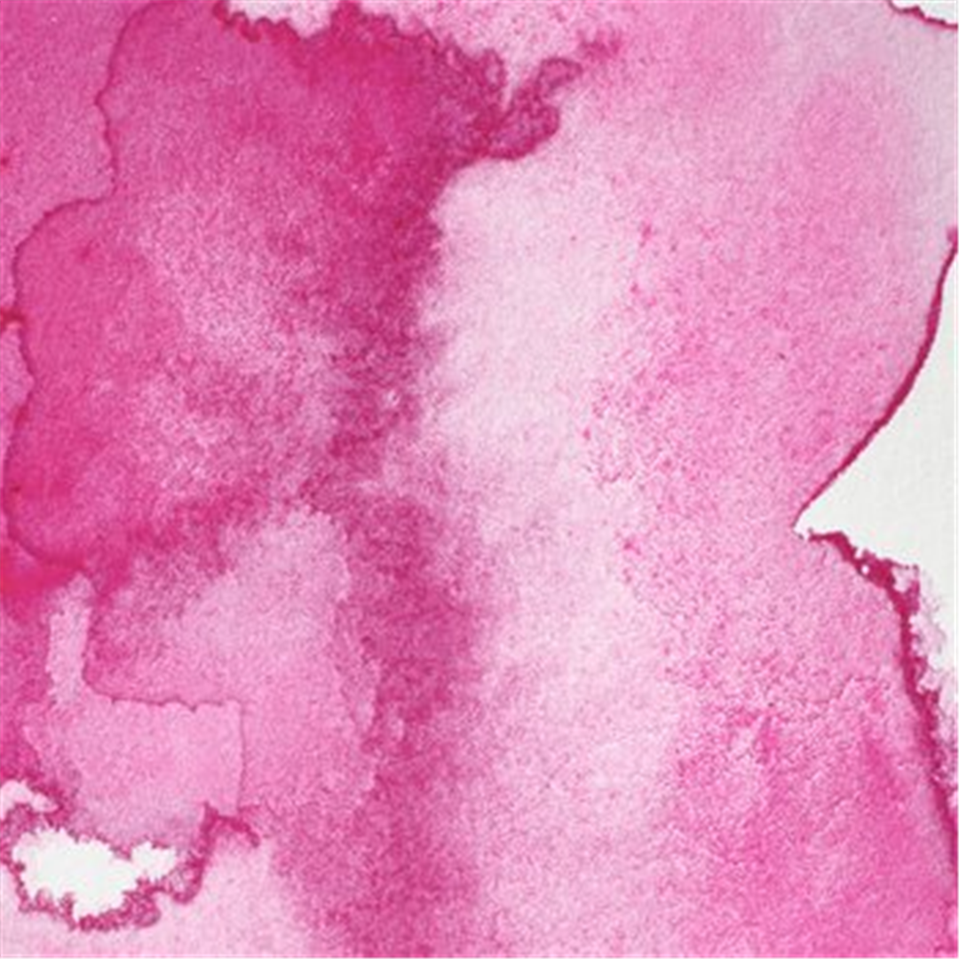 Professional Water Colour Awc Tubo 5ml Serie 2 - Colore 448 Fiore Di Rosa Opera — immagine 2