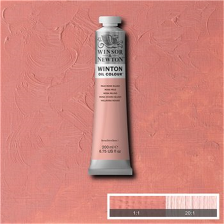 Colore Olio Fine Winton 200 Ml. Tinta Carne