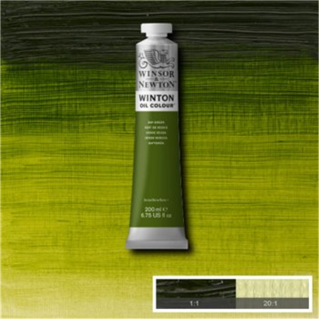 Colore Olio Fine Winton 200 Ml. Verde Vescica
