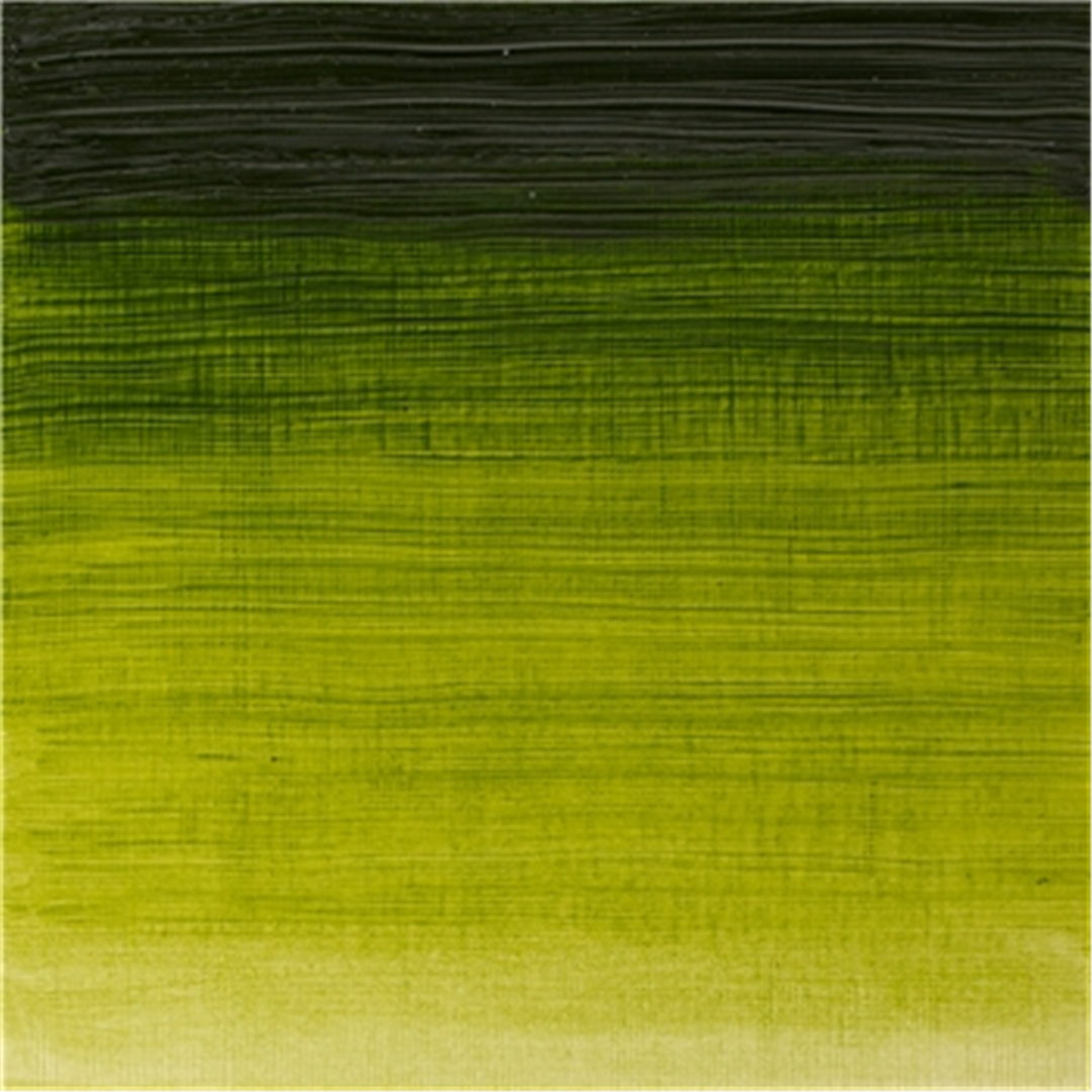 Colore Olio Fine Winton 200 Ml. Verde Vescica — immagine 4