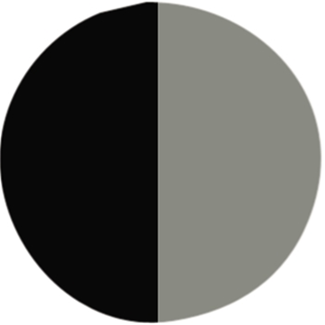 Gesso Colorato  237 Ml Nero — immagine 2