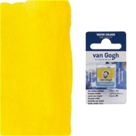 Acquarello In 1/2 Godet Colore Sr.standard Giallo Medio Azo