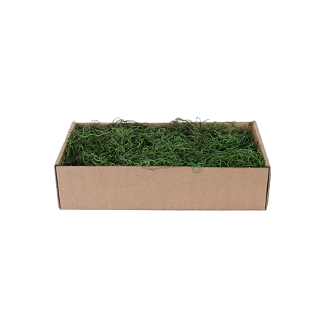 Muschio Spagnolo Verde 500g
