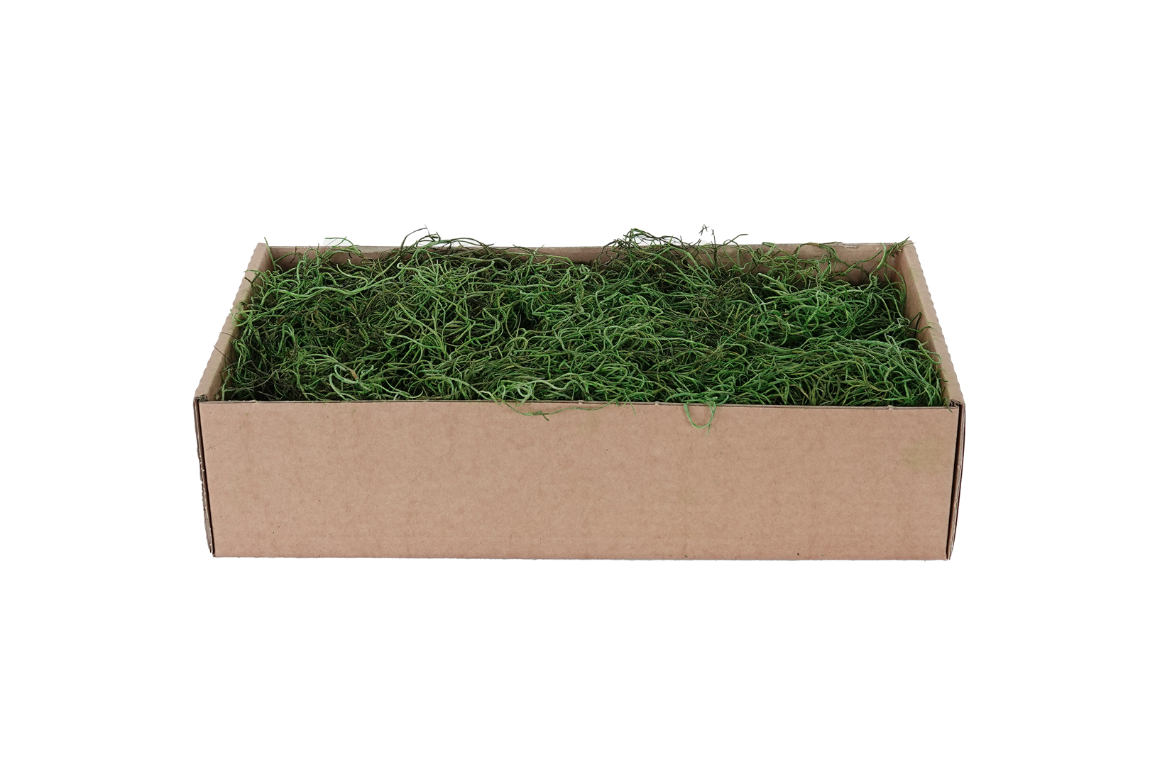 Muschio Spagnolo Verde 500g
