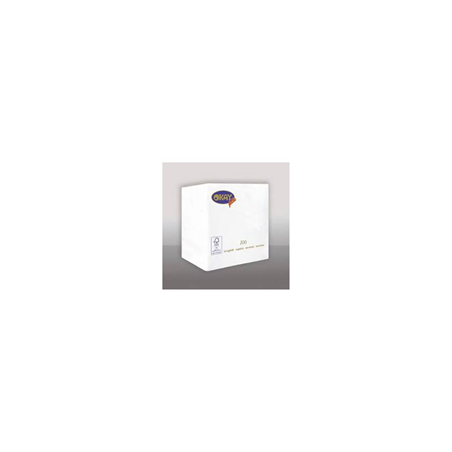 Tovagliolo Ovatta 2v 25x25cm 100pz  Bianco