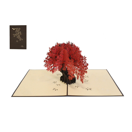 Biglietto Auguri Kirigami  Fatto A Mano Bonsai
