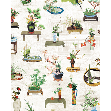 Carta Regalo 70x100  Ikebana