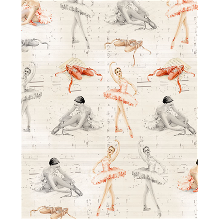 Carta Regalo 70x100  Ballerine
