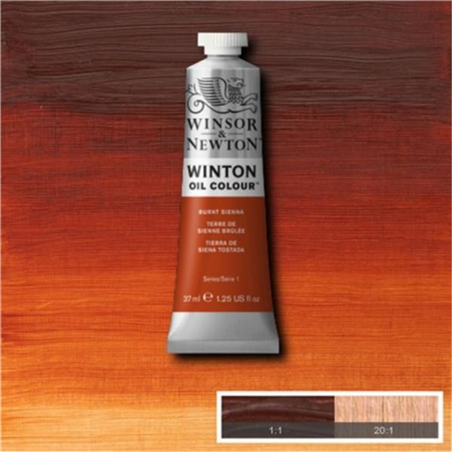 Colore Olio Fine Winton 37 Ml Sr. Standard 074-Terra Siena Bruciata