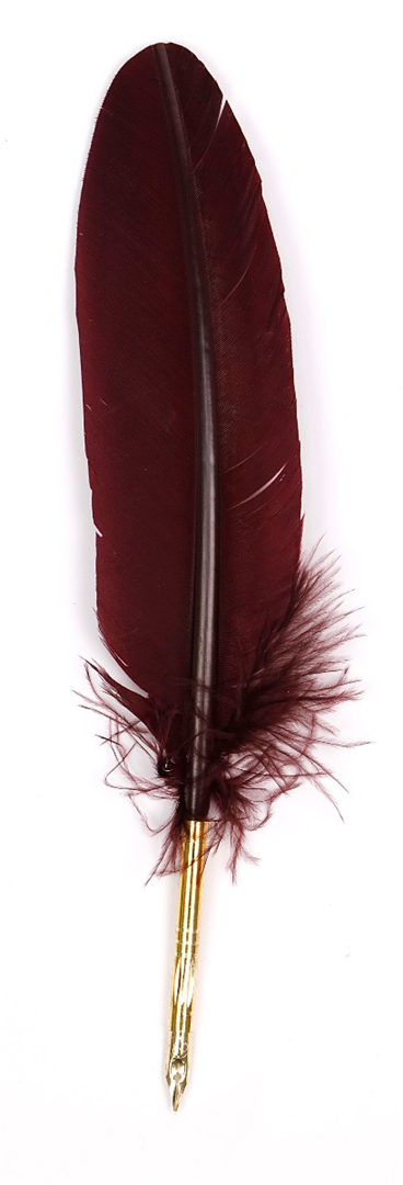 Penna Piuma D' Oca + Pennino Cito Fine Bordeaux — immagine 2