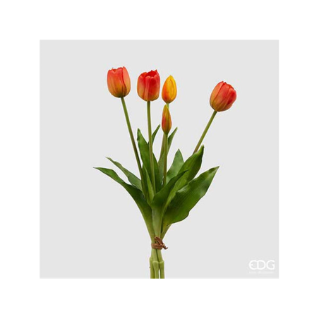 Tulipano Gomm. Olis Mazzo 5pz H. 40 Cm Arancione