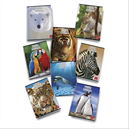 Maxiquaderno A4 P.m. 40fg  Animal A