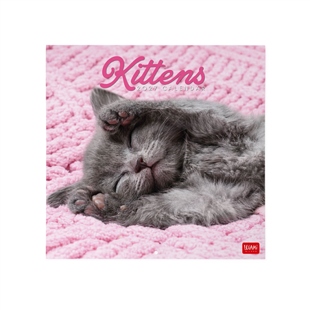 Calendario Da Parete 30x29 Fotografico 2027 Kittens