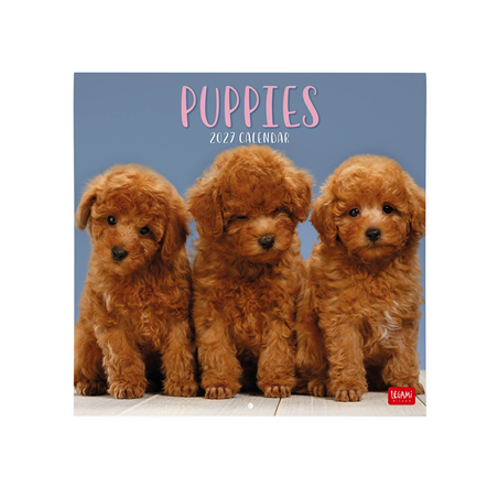 Calendario Da Parete 30x29 Fotografico 2027 Puppies
