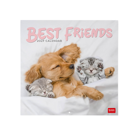 Calendario Da Parete 30x29 Fotografico 2027 Best Friends