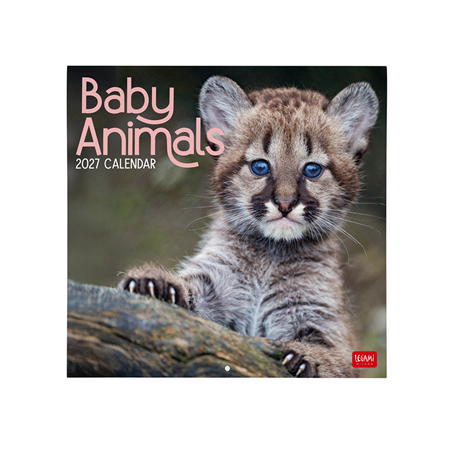 Calendario Da Parete 30x29 Fotografico 2027 Baby Animals