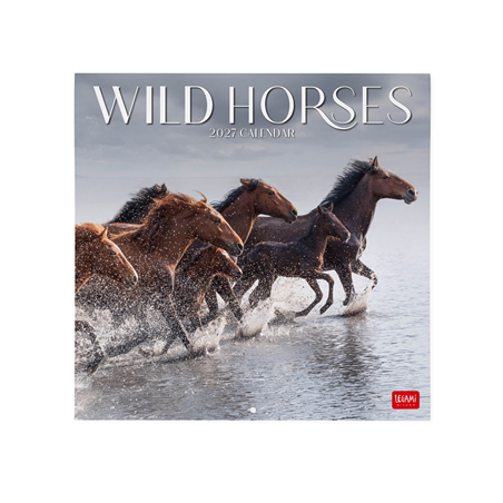 Calendario Da Parete 30x29 Fotografico 2027 Wild Horses