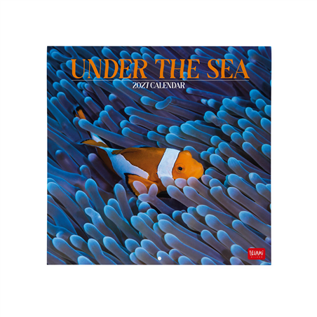 Calendario Da Parete 30x29 Fotografico 2027 Under The Sea