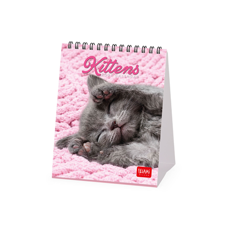 Calendario Da Tavolo 12x14,5 Fotografico 2027 Kittens