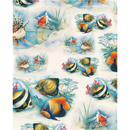 Carta Regalo 70x100  Pesci Tropicali