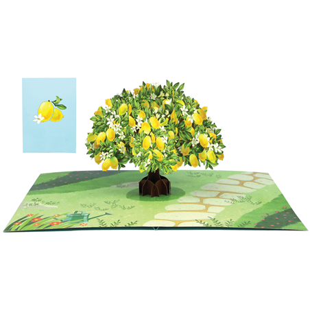 Biglietto Auguri Kirigami  Fatto A Mano Lemon Tree