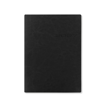 Agenda  Lecassa A5 Giornaliero Con Appuntamenti Multilingue Colori Assortiti