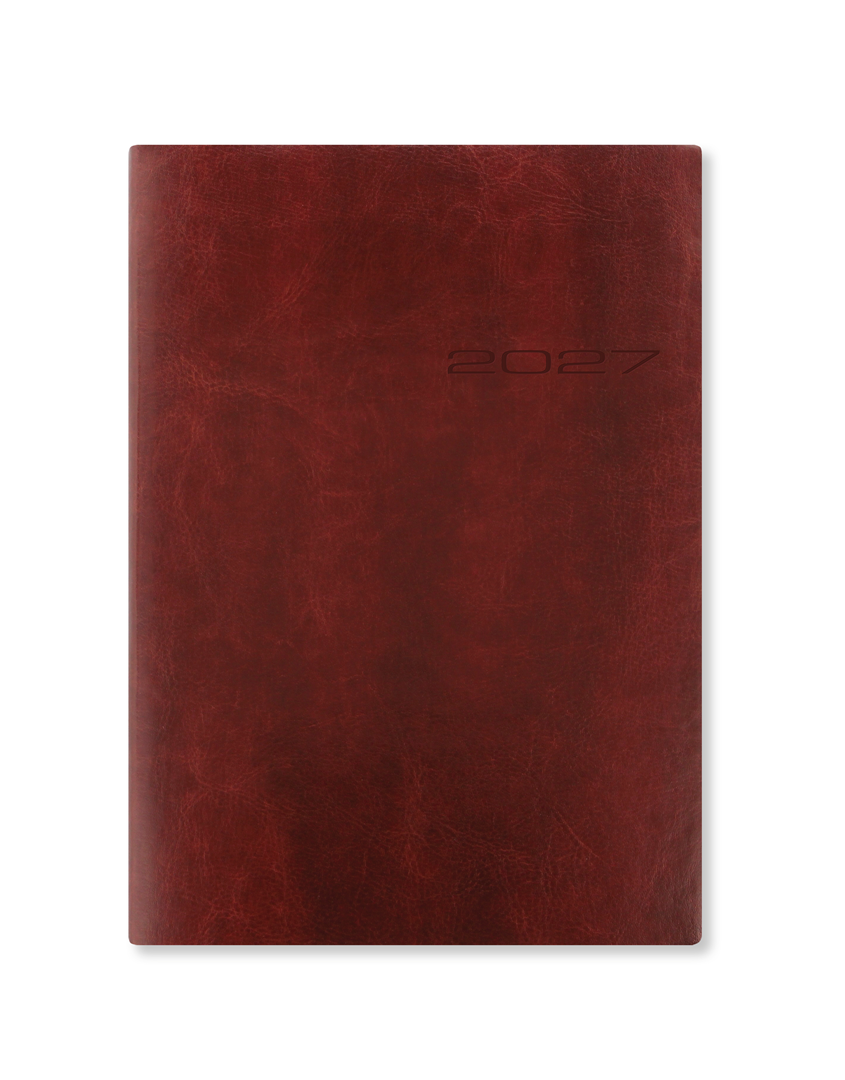 Agenda  Lecassa A5 Giornaliero Con Appuntamenti Multilingue Colori Assortiti — immagine 4