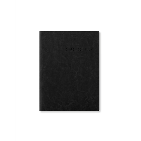 Agenda  Lecassa A6 Plus Giornaliero Con Appuntamenti Multilingue Colori Assortiti