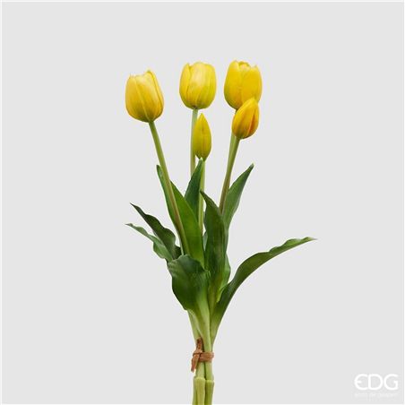 Tulipano Gomm. Olis Mazzo 5pz H. 40 Cm Giallo