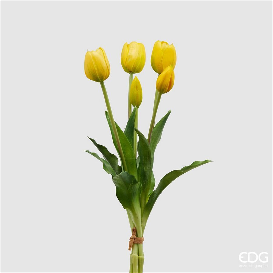 Tulipano Gomm. Olis Mazzo 5pz H. 40 Cm Giallo
