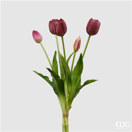 Tulipano Gomm. Olis Mazzo 5pz H. 40 Cm Violet