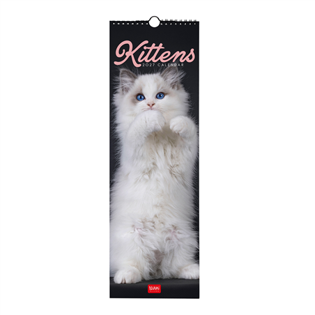 Calendario Da Parete 16x49 Fotografico 2027 Kittens