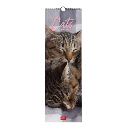 Calendario Da Parete 16x49 Fotografico 2027 Cats