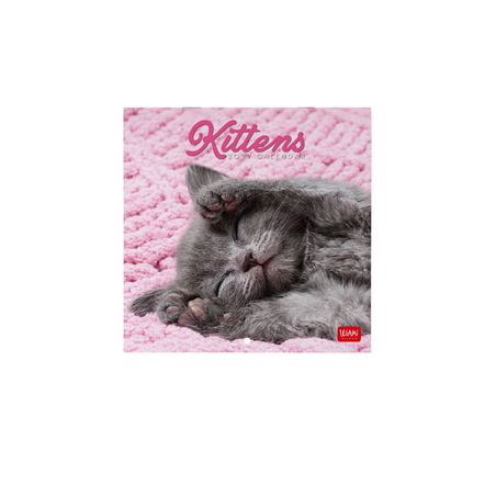 Calendario Da Parete 18x18 Fotografico 2027 Kittens