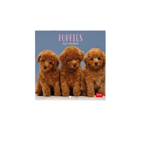 Calendario Da Parete 18x18 Fotografico 2027 Puppies