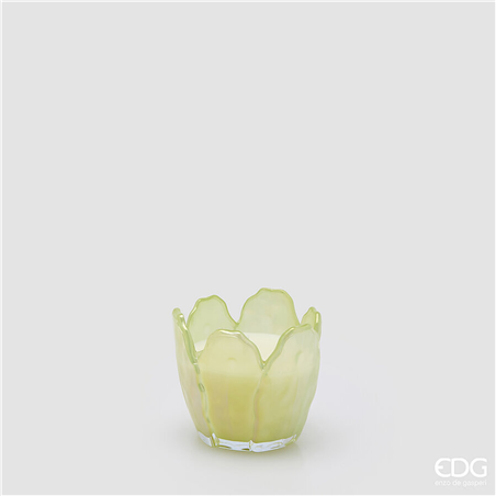 Candela Vetro Fiore Profumata H8cm D8,5cm Cedar Balsam