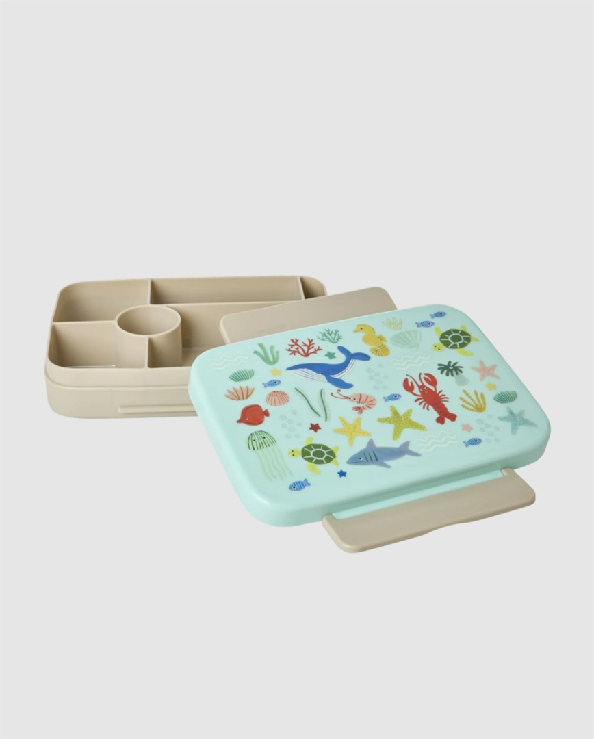 Portapranzo In Plastica 6 Scomparti  Oceano Blu — immagine 2