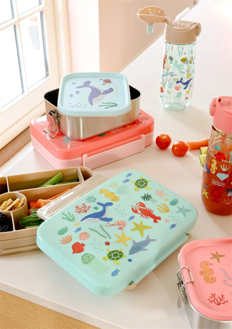 Portapranzo In Plastica 6 Scomparti  Oceano Blu — immagine 3